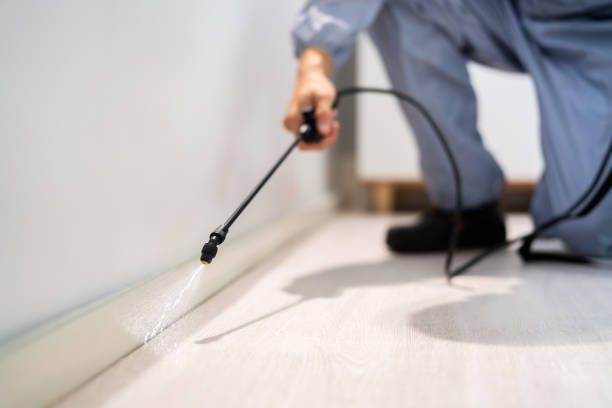 Licensed Termite Control service in Laureles, TX - Nex Pest Control