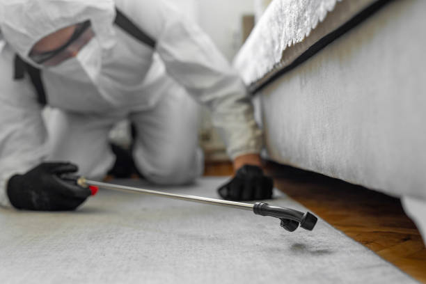 Professional Termite Control technician working in Laureles, TX