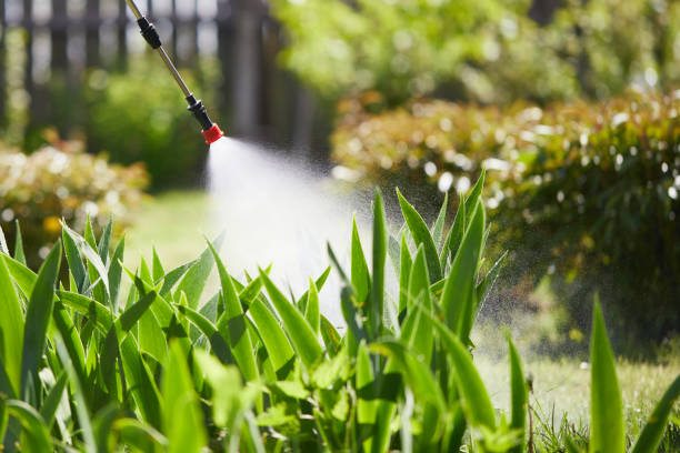 24/7 Emergency Termite Control experts in Laureles, TX